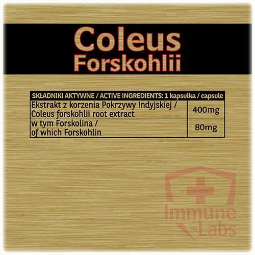 Immune-Labs Coleus Forskohlii 90 kapsułek